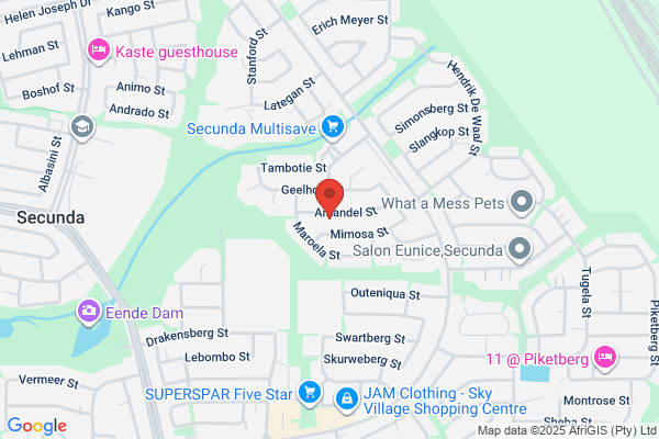 Mzila security services