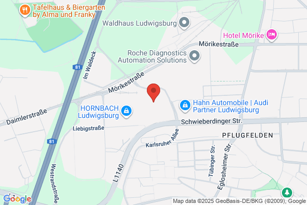 M P Lotter