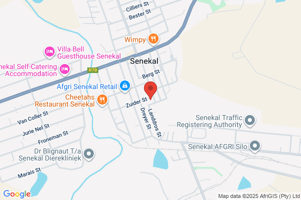Senekal Electronics