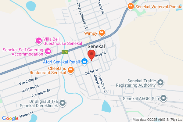 Standard Bank ( Senekal )