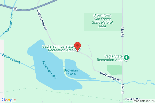 Cardies - Springs