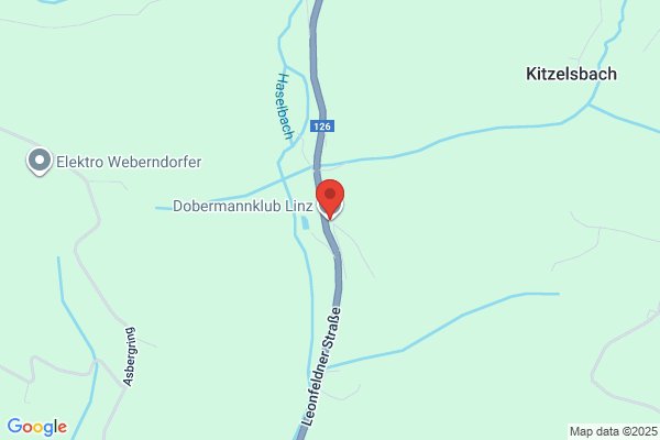 Dobermann Club The