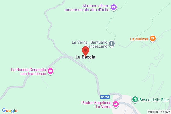 F Beccia