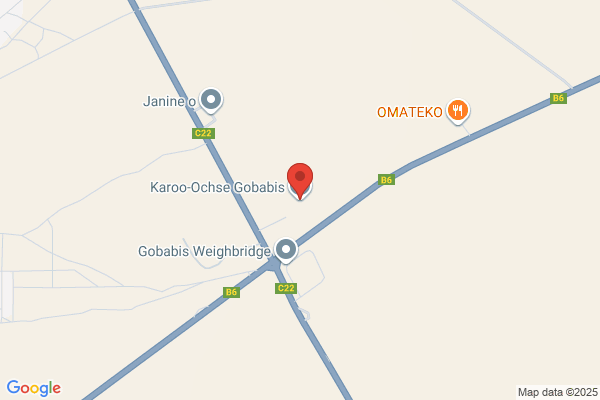 Karoo Ochse