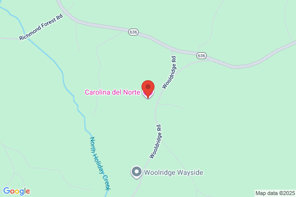 Nederduitsch Hervormde Kerk