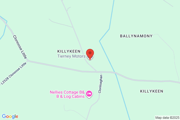 Tierney Motors