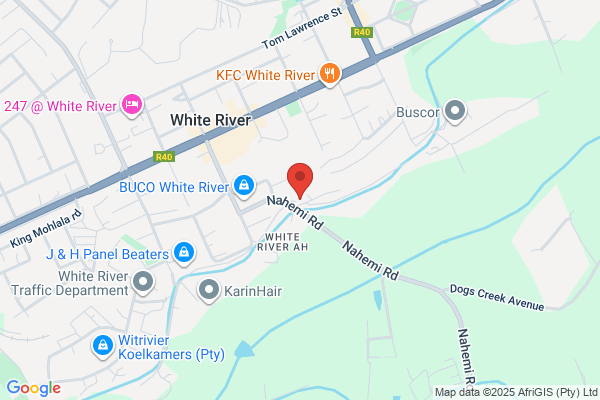 White River Auto Electronics